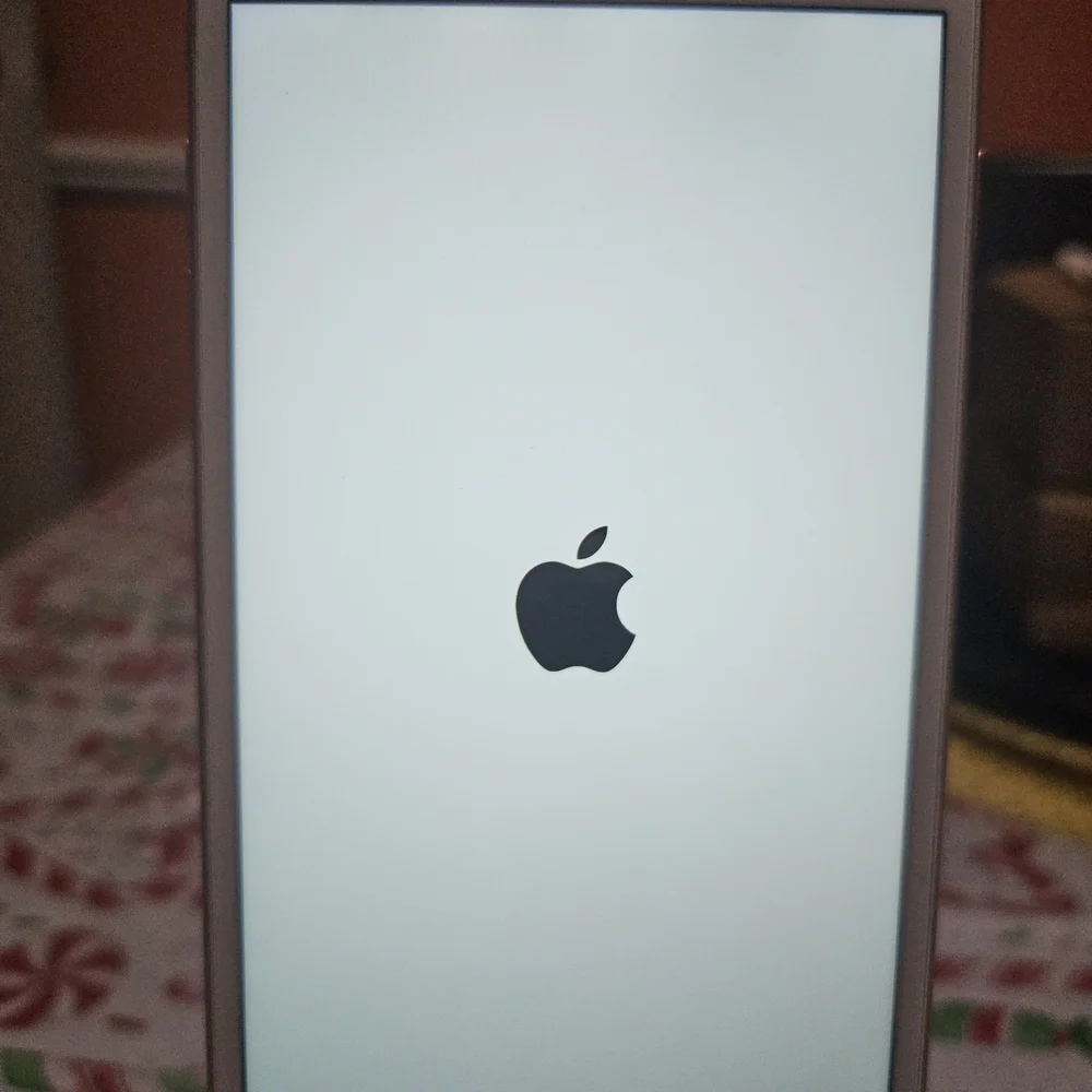 Apple iPhone with White Front